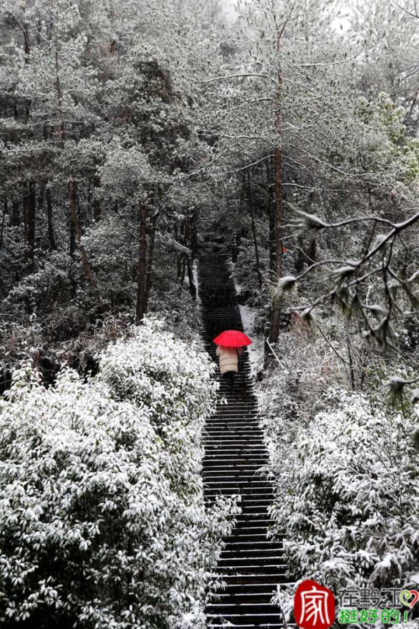 重庆雪景美图来袭！请查收～