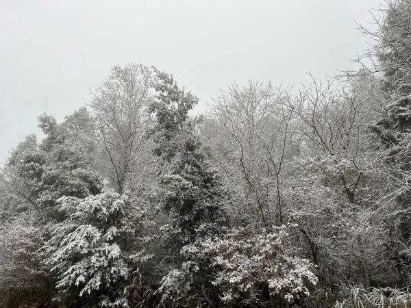 福建下雪了！除夕、春节天气……