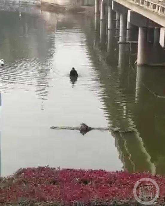 跳桥轻生后水太浅走上岸，男子回应：不再做傻事