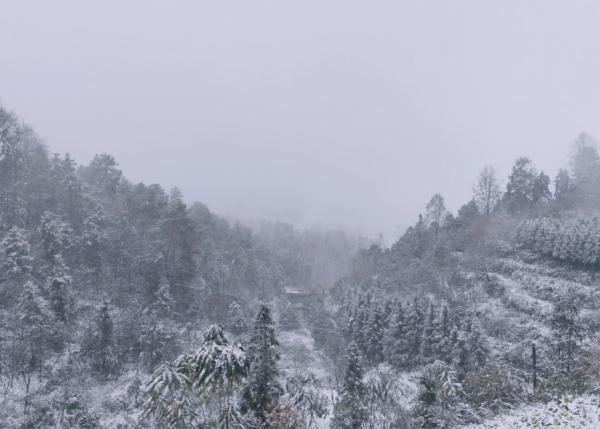 重庆雪景美图来袭！请查收～