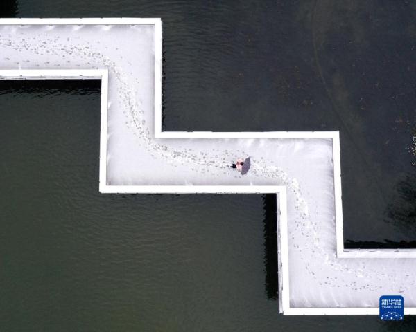 雪润大地 景色如画 雪润大地 景色如画
