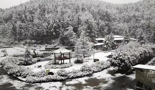 重庆雪景美图来袭！请查收～