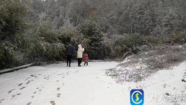 重庆雪景美图来袭！请查收～