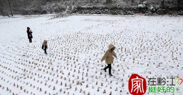 重庆雪景美图来袭！请查收～