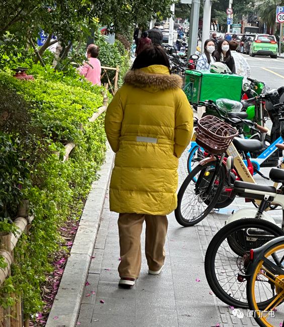冷冷冷！厦门今日最低2.6℃，明天更冷！这波寒潮影响将持续到......
