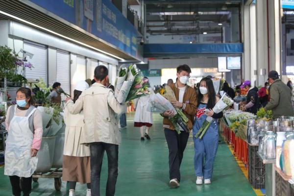 太火爆，订单量增长238%！云南多地酒店“一房难求”，超80%已订完