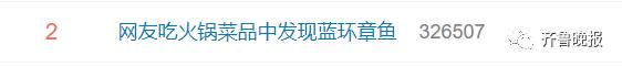 蓝环章鱼！吃个火锅与死神擦肩而过……
