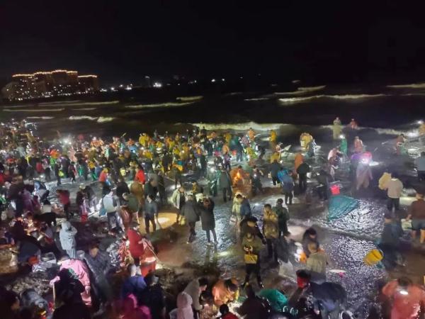 山东的大海又送年货了！海边现大量海肠、蛤蜊…有人从黑夜捞到天亮
