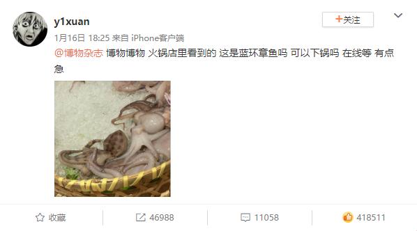 剧毒章鱼差点下锅？这些易混淆食物千万要注意！