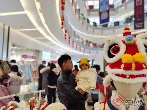 太火爆，订单量增长238%！云南多地酒店“一房难求”，超80%已订完