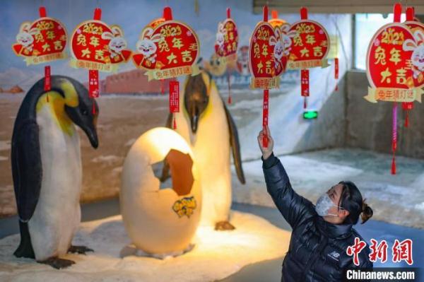 南京海底世界动物拜大年贺新春