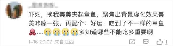 蓝环章鱼！吃个火锅与死神擦肩而过……