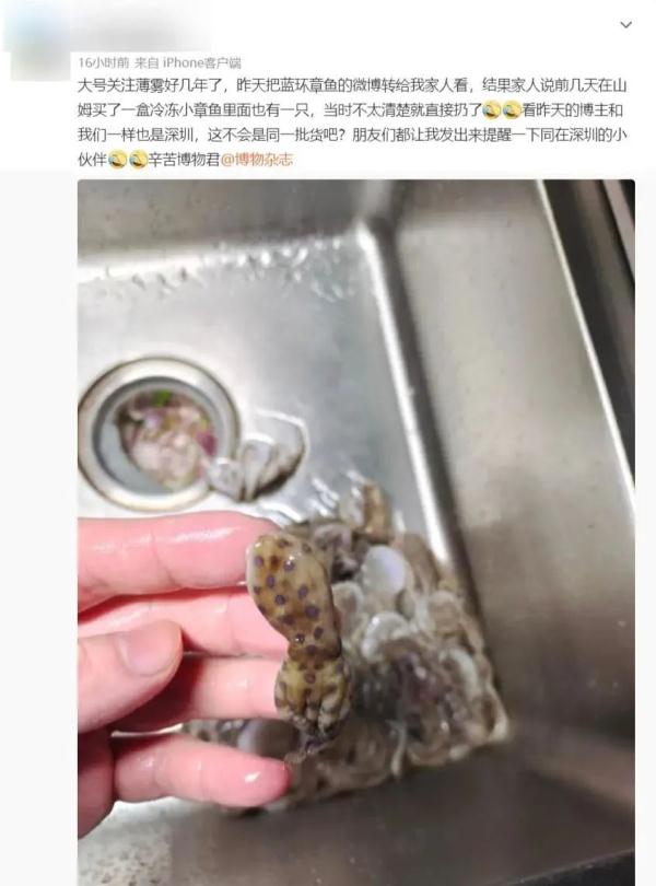 被咬上一口能致人死亡！网友买到剧毒蓝环章鱼？山姆回应