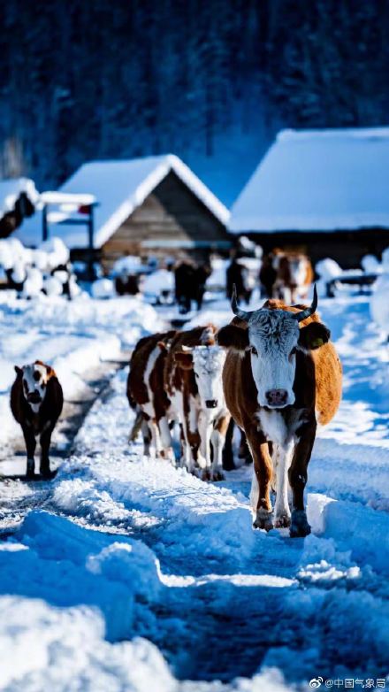 在这儿，现实中的“冰雪世界”比童话里还要美！