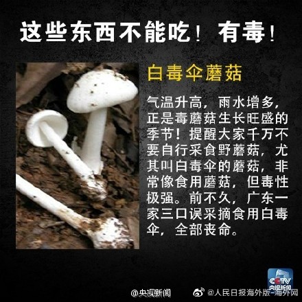 这些食物不能吃 有毒！