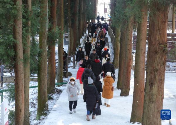 湖南张家界：春节将至 旅游升温