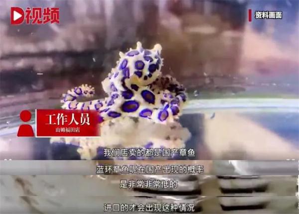 又一起？网友称在山姆买到剧毒章鱼！这些海鲜和野生菌也不能吃