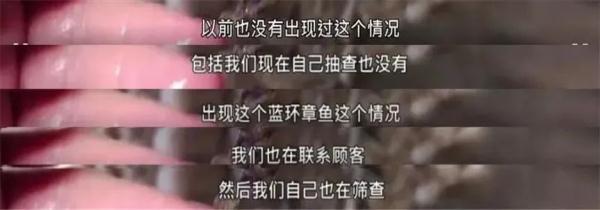 被咬上一口能致人死亡！网友买到剧毒蓝环章鱼？山姆回应