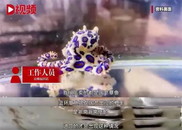 被咬上一口能致人死亡！网友买到剧毒蓝环章鱼？山姆回应