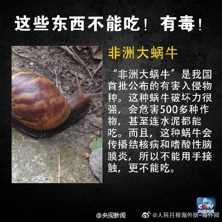 这些食物不能吃 有毒！