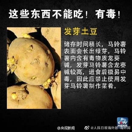 这些食物不能吃 有毒！