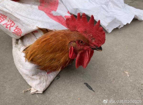我知道你很急，但你先别急！