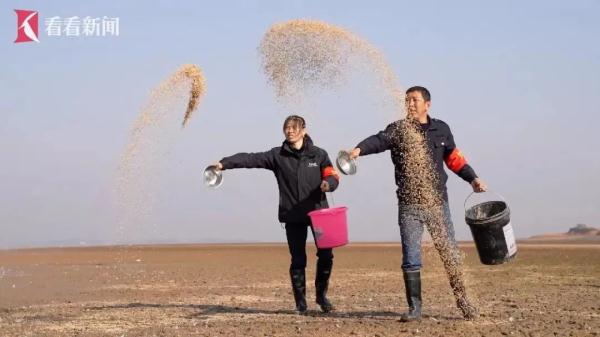 鄱阳湖畔的“护鸟夫妻” 鄱阳湖畔的“护鸟夫妻”