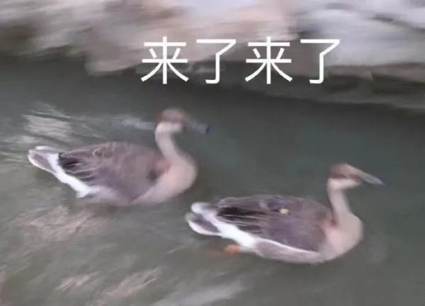 冷空气陪你“过年”!明起影响山东!雨雪大风又来了…济南最低温零下9℃