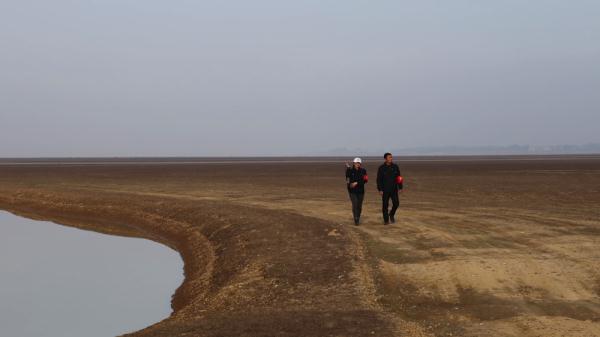 鄱阳湖畔的“护鸟夫妻” 鄱阳湖畔的“护鸟夫妻”