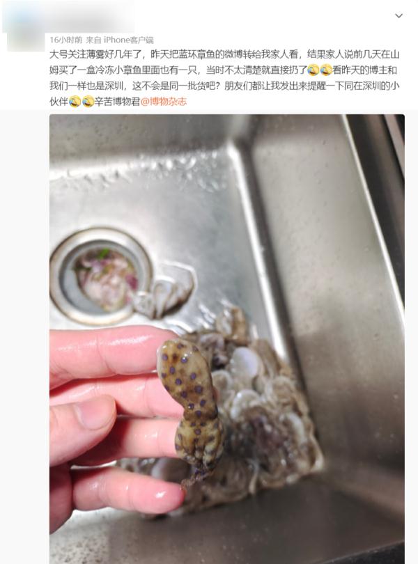 热搜第一！有网友称买到毒性极强的蓝环章鱼？涉事超市回应