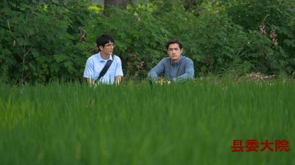 专家热议电视剧《县委大院》：展现基层干部群众对美好生活的追求