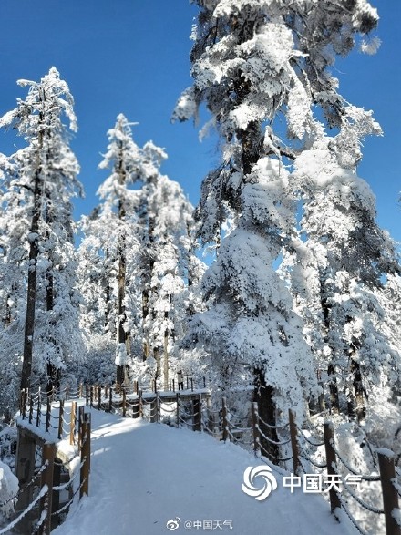看看别人家的雪景！雪后四川瓦屋山宛如仙境