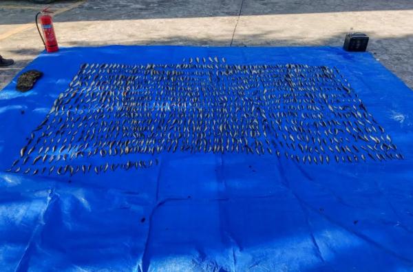 撒下渔网掉进“法网”，5人非法捕鱼被抓！