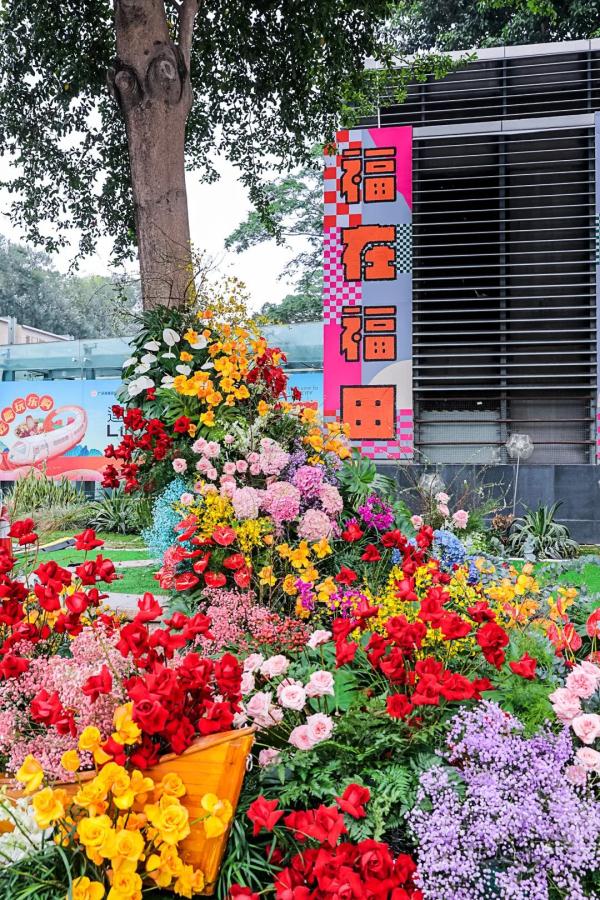 买买买！深圳人年货备什么？这些最受欢迎！