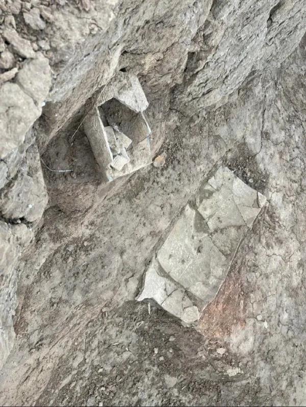 荒地惊现古人牙齿下颌骨！“西安啊，那没事了”冲上热搜