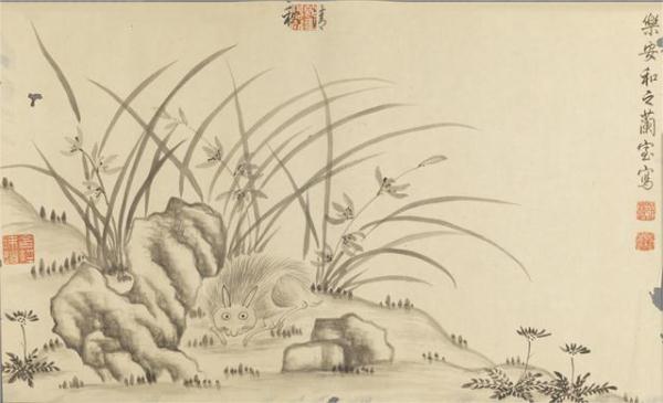 “兔圆圆”为啥有四颗门牙？真相原来是......