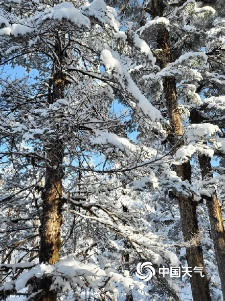看看别人家的雪景！雪后四川瓦屋山宛如仙境