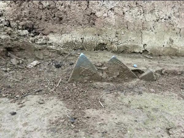 荒地惊现古人牙齿下颌骨！“西安啊，那没事了”冲上热搜
