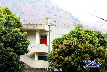 全国唯一带“兔”字的米轨火车站 全国唯一带“兔”字的米轨火车站