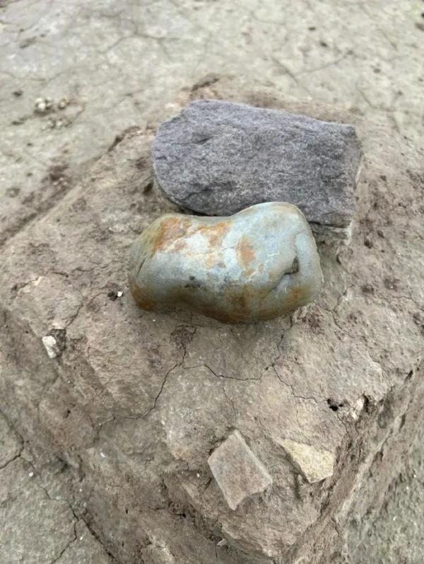 荒地惊现古人牙齿下颌骨！“西安啊，那没事了”冲上热搜