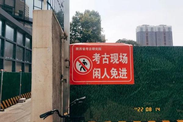 荒地惊现古人牙齿下颌骨！“西安啊，那没事了”冲上热搜