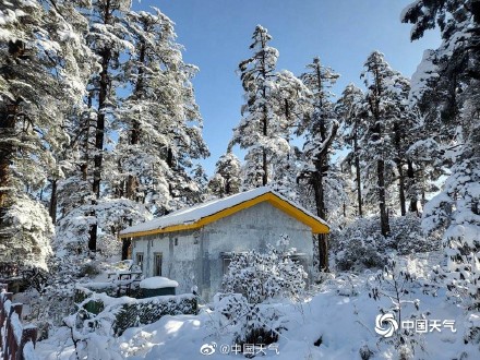 看看别人家的雪景！雪后四川瓦屋山宛如仙境