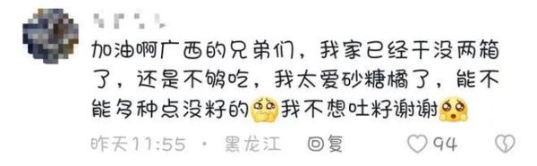 全网“监工”剪砂糖橘！柳州果农：别催，剪刀冒烟啦！