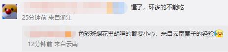 冲上热搜！记住它的样子！千万别吃！有剧毒！