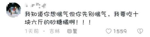 全网“监工”剪砂糖橘！柳州果农：别催，剪刀冒烟啦！