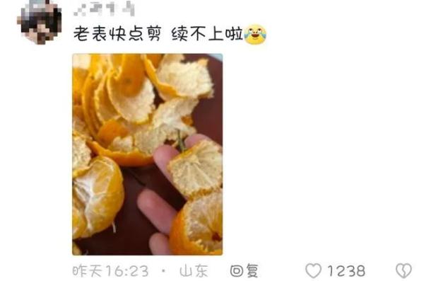 全网“监工”剪砂糖橘！柳州果农：别催，剪刀冒烟啦！