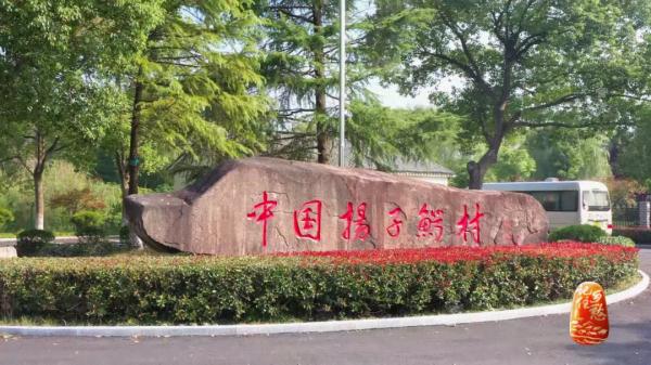 来“中国扬子鳄村”，听听人和鳄鱼相伴相依的故事