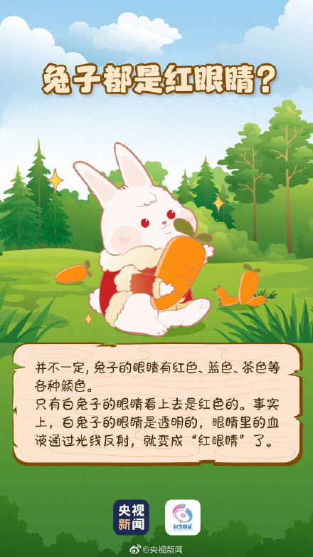 兔子的最爱不是胡萝卜