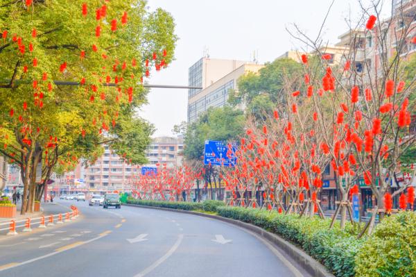 成都成华区：萌兔迎春年味浓 最美就是回家路