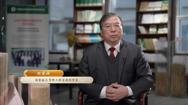 “稻”说古今,揭秘饭碗里这粒米的“前世今生” “稻”说古今,揭秘饭碗里这粒米的“前世今生”